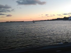 IMG_20171121_133114.jpg