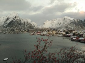 IMG_20171121_134039.jpg