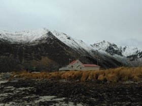 IMG_20171122_110806.jpg