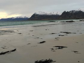 IMG_20171122_110818.jpg