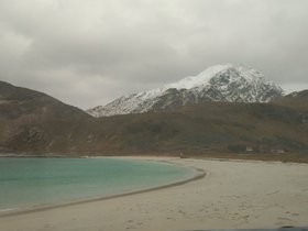 IMG_20171123_122602.jpg