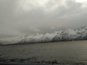 IMG_20171124_103231.jpg