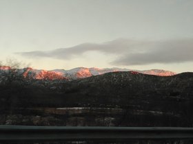 IMG_20171124_123939.jpg