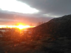 IMG_20171124_124936.jpg